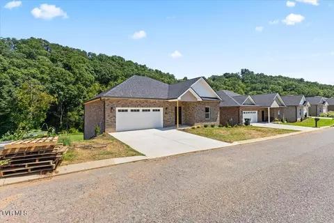 155 Quiet Stroll Lane Gray Tn 37615, Gray, TN 37615 photo 4