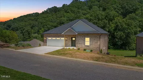 155 Quiet Stroll Lane Gray Tn 37615, Gray, TN 37615