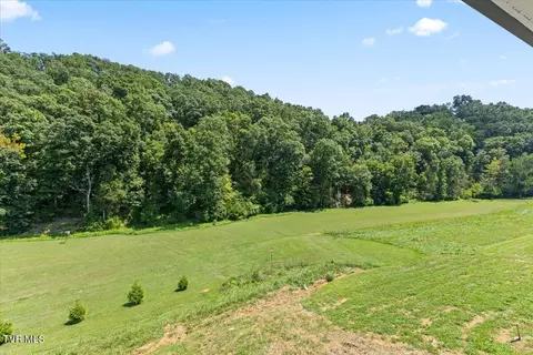 155 Quiet Stroll Lane Gray Tn 37615, Gray, TN 37615 photo 43