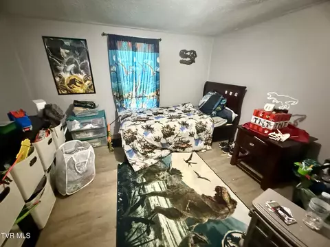 Bedroom - 116 Jc Vines Road Hampton Tn 37658, Hampton, TN 37658 photo 2 of 6