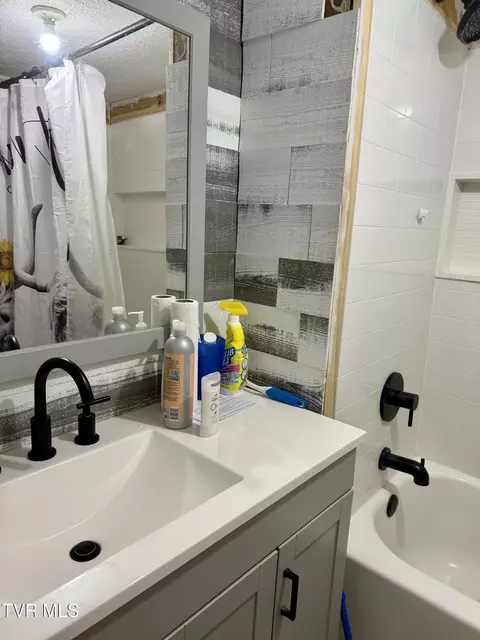 Bath - 116 Jc Vines Road Hampton Tn 37658, Hampton, TN 37658 photo 3 of 4