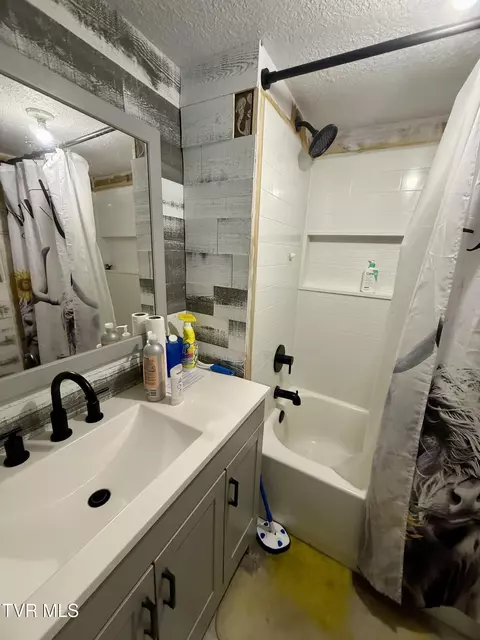 Bath - 116 Jc Vines Road Hampton Tn 37658, Hampton, TN 37658 photo 4 of 4