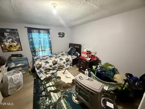 Bedroom - 116 Jc Vines Road Hampton Tn 37658, Hampton, TN 37658 photo 5 of 6
