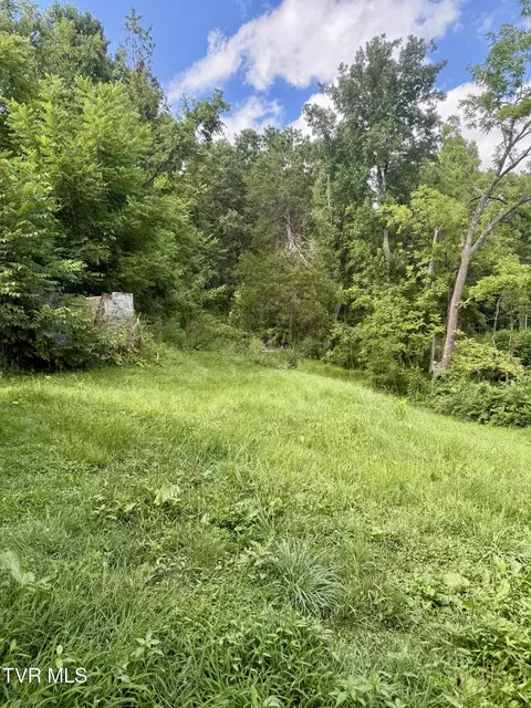 Exterior - 116 Jc Vines Road Hampton Tn 37658, Hampton, TN 37658 photo 1 of 2