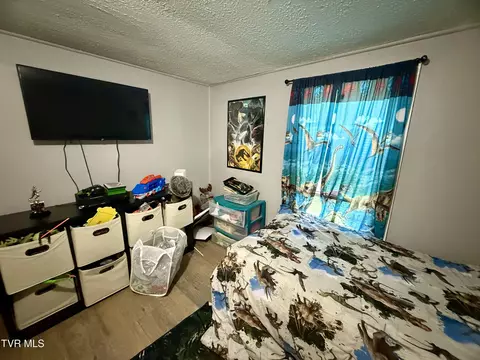 Bedroom - 116 Jc Vines Road Hampton Tn 37658, Hampton, TN 37658 photo 3 of 6
