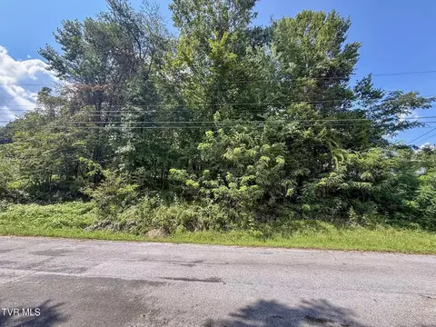 tbd Herron Drive Kingsport Tn 37663, Kingsport, TN 37663