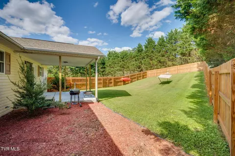 174 E Ridges Drive Chuckey Tn 37641, Chuckey, TN 37641 photo 28