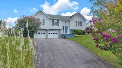 122 Chimney Top Lane Jonesborough Tn 37659, Jonesborough, TN 37659