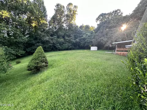 Exterior - 183 Morgan Lane Fall Branch Tn 37656, Fall Branch, TN 37656 photo 4 of 7