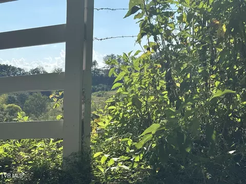 241 E Stagecoach Road Greeneville Tn 37743, Greeneville, TN 37743 photo 2