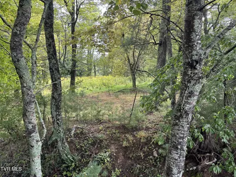 lot3 Locust Gap Road Mountain City Tn 37683, Mountain City, TN 37683