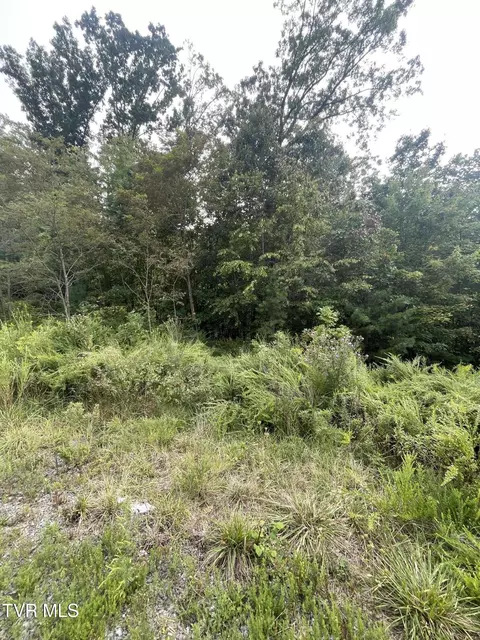 0 Mary Patton Highway Elizabethton Tn 37643, Elizabethton, TN 37643