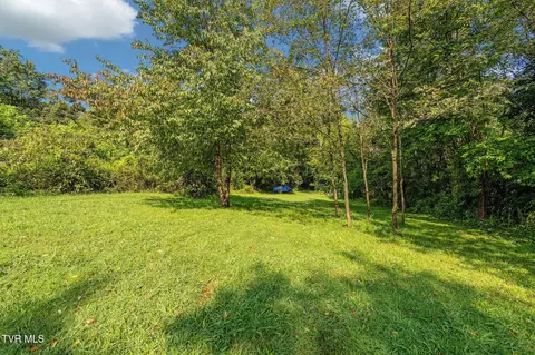 Exterior - 217 Opie Arnold Road Limestone Tn 37681, Limestone, TN 37681 photo 6 of 12