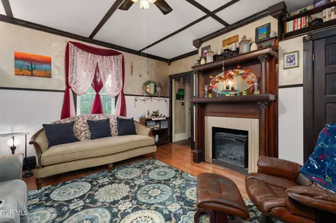 Living - 217 Opie Arnold Road Limestone Tn 37681, Limestone, TN 37681 photo 3 of 4
