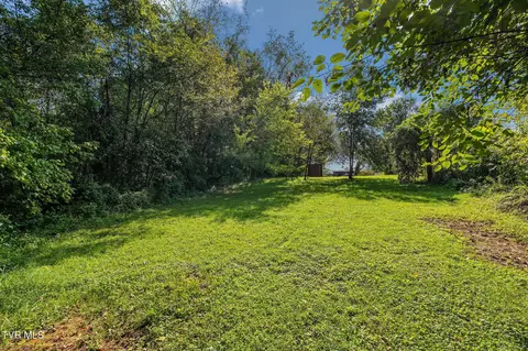 Exterior - 217 Opie Arnold Road Limestone Tn 37681, Limestone, TN 37681 photo 7 of 12
