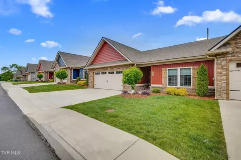 262 Harps Lane Gray Tn 37615, Gray, TN 37615 photo 7
