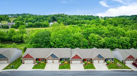 262 Harps Lane Gray Tn 37615, Gray, TN 37615 photo 37