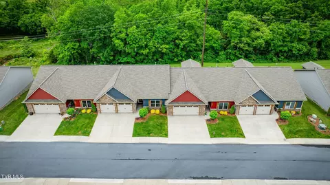 262 Harps Lane Gray Tn 37615, Gray, TN 37615 photo 36