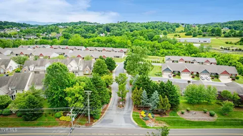 262 Harps Lane Gray Tn 37615, Gray, TN 37615 photo 38