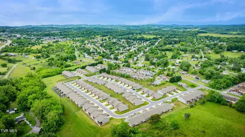 262 Harps Lane Gray Tn 37615, Gray, TN 37615 photo 41