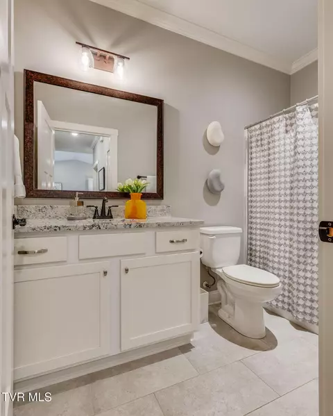 262 Harps Lane Gray Tn 37615, Gray, TN 37615 photo 30