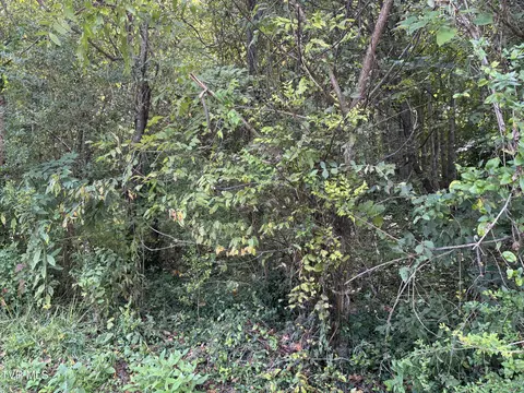 tbd Lot 1 Hillside Drive Elizabethton Tn 37643, Elizabethton, TN 37643