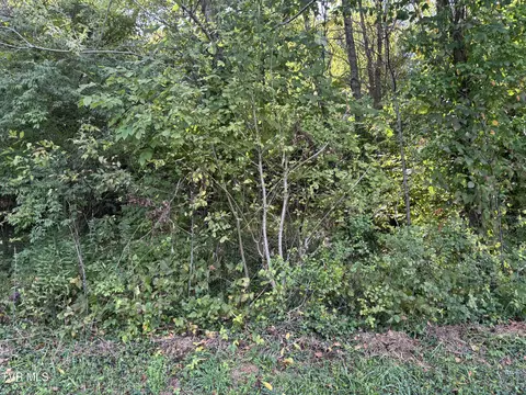 tbd Lot 2 Hillside Drive Elizabethton Tn 37643, Elizabethton, TN 37643