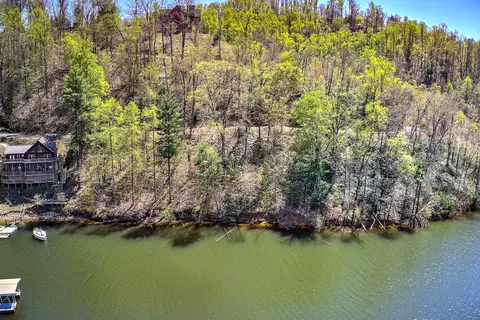 lot3 Coves Edge Drive Butler Tn 37640, Butler, TN 37640