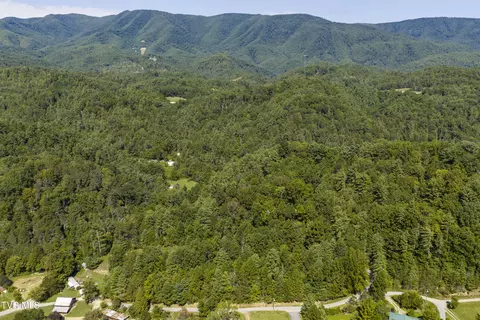 View/Area - 239 Viss Honeycutt Road Erwin Tn 37650, Erwin, TN 37650 photo 5 of 6