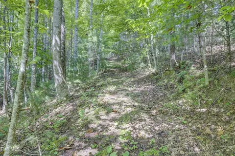 Exterior - 239 Viss Honeycutt Road Erwin Tn 37650, Erwin, TN 37650 photo 6 of 22