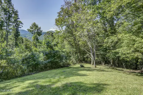 Exterior - 239 Viss Honeycutt Road Erwin Tn 37650, Erwin, TN 37650 photo 13 of 22