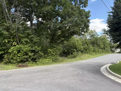 1 20 Ac Sevier Avenue Greeneville Tn 37745, Greeneville, TN 37745
