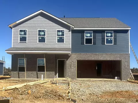 253 Artist Avenue Johnson City Tn 37615, Johnson City, TN 37615