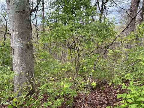 tbd Missionary Ridge Rd Newport Tn 37821, Newport, TN 37821