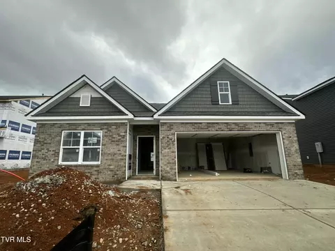 229 Chimney View Loop Blountville Tn 37617, Blountville, TN 37617