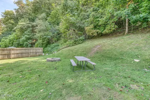 Exterior - 301 Polly Erwin Road Erwin Tn 37650, Erwin, TN 37650 photo 11 of 12