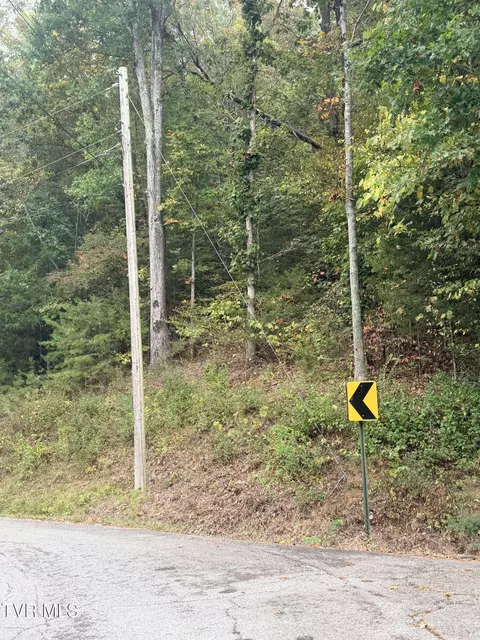 lot8 Little Chuckey Road Mosheim Tn 37818, Mosheim, TN 37818
