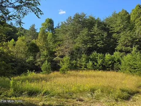 170 Parker Road Eidson Tn 37731, Eidson, TN 37731 photo 53