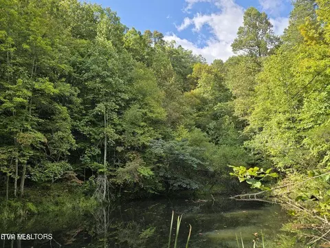 170 Parker Road Eidson Tn 37731, Eidson, TN 37731 photo 43