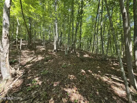 170 Parker Road Eidson Tn 37731, Eidson, TN 37731 photo 33
