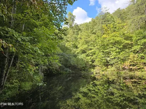 170 Parker Road Eidson Tn 37731, Eidson, TN 37731 photo 44
