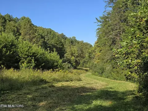 170 Parker Road Eidson Tn 37731, Eidson, TN 37731 photo 30