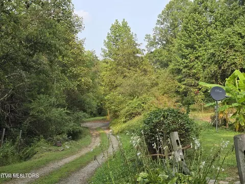 170 Parker Road Eidson Tn 37731, Eidson, TN 37731 photo 27