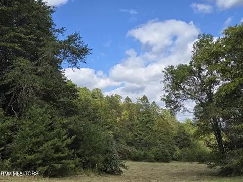 170 Parker Road Eidson Tn 37731, Eidson, TN 37731 photo 46
