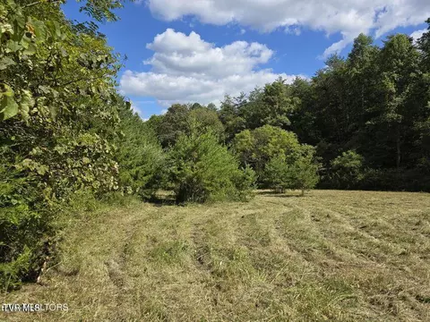 170 Parker Road Eidson Tn 37731, Eidson, TN 37731 photo 51