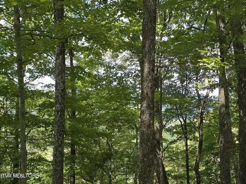 170 Parker Road Eidson Tn 37731, Eidson, TN 37731 photo 36