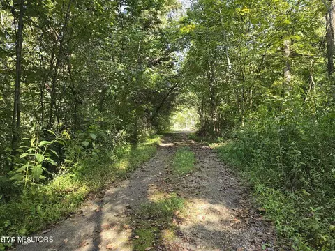 170 Parker Road Eidson Tn 37731, Eidson, TN 37731 photo 28
