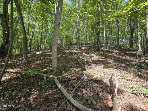170 Parker Road Eidson Tn 37731, Eidson, TN 37731 photo 34