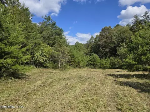 170 Parker Road Eidson Tn 37731, Eidson, TN 37731 photo 50