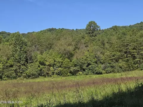 170 Parker Road Eidson Tn 37731, Eidson, TN 37731 photo 32
